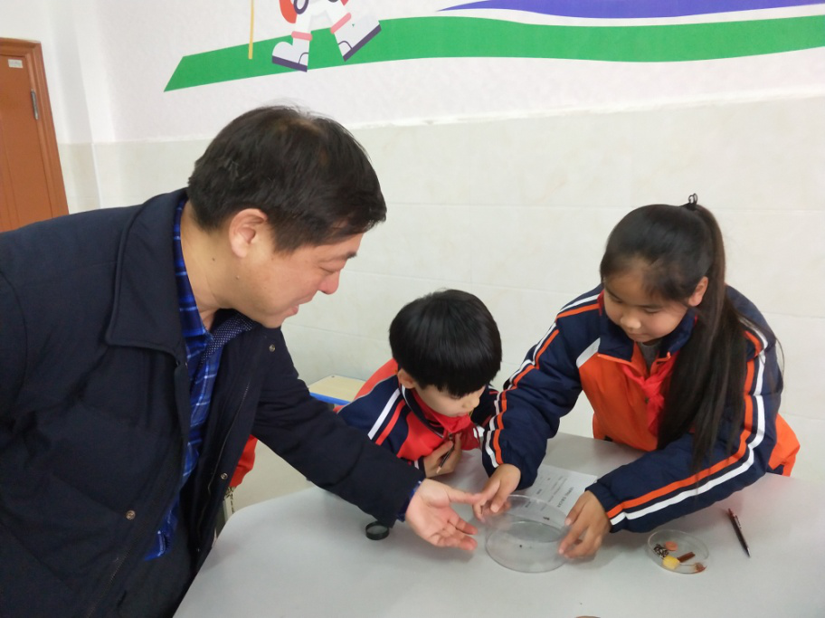 图片3.png 图片3.png